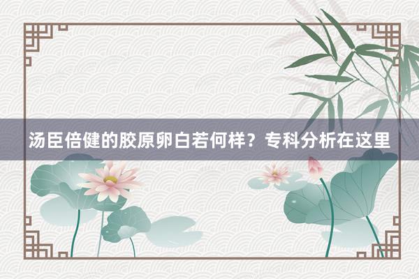 汤臣倍健的胶原卵白若何样？专科分析在这里
