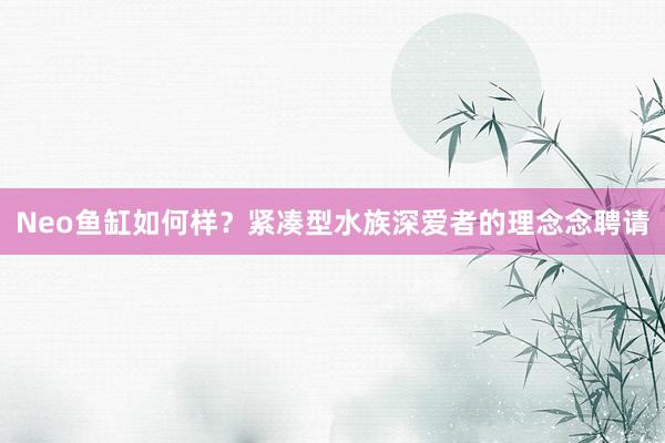Neo鱼缸如何样？紧凑型水族深爱者的理念念聘请