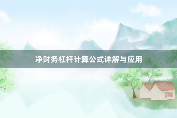 净财务杠杆计算公式详解与应用